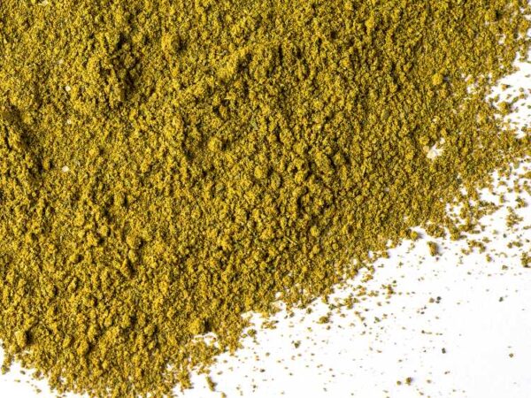 Curry Cilantro (25g)