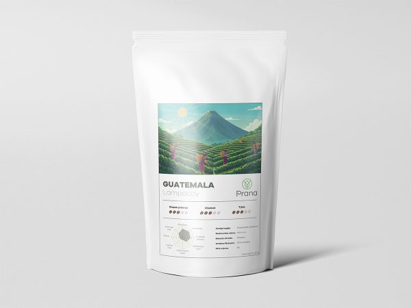 Guatemala Lampocoy kafa Prana